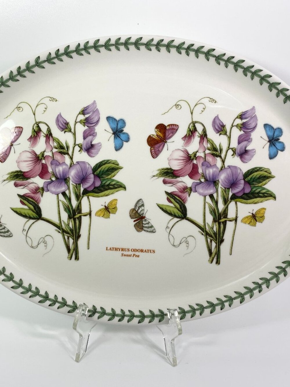 Portmeirion Botanic Garden 11 Inch Oval Platter Lathyrus Odoratus Sweet Pea UK